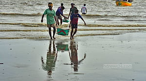 চট্টগ্রামে ইলিশের আকাল