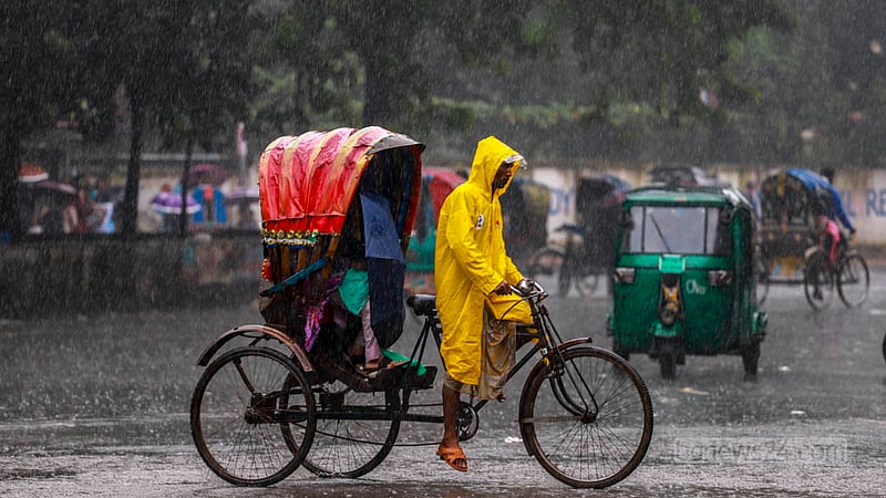 ঢাকা বিশ্ববিদ্যালয়ের টিএসসি এলাকায় বৃহস্পতিবার দুপুরে বৃষ্টিতে ভোগান্তিতে পড়েন রিকশাচালকরা।&amp;nbsp;ছবি: তাওহীদুজ্জামান তপু