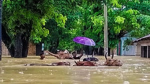 রামুতে বন্যার পানিতে ও পেকুয়ায় সাপের কামড়ে শিশুসহ দুজনের মৃত্যু