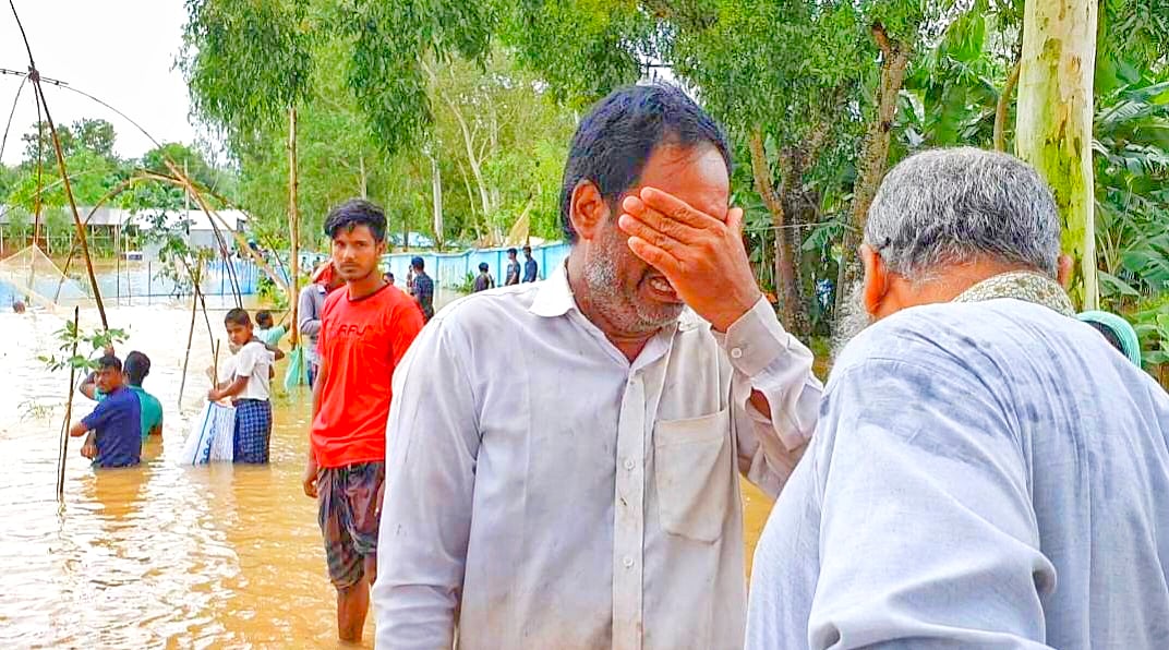 বৃষ্টি ভাসিয়ে নিল জুলহাসের পুকুর ভরা মাছ