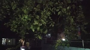 ঘূর্ণিঝড় হামুন: বিদ্যুৎবিহীন কক্সবাজার