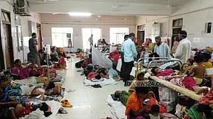 বরিশালে ডেঙ্গু জ্বরে চারজনের মৃত্যু