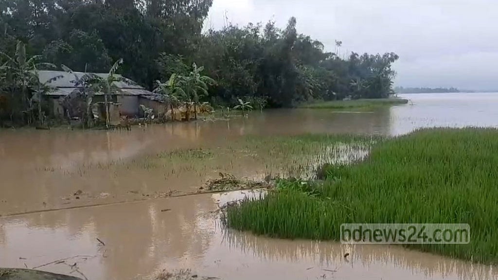 কুড়িগ্রামে তিস্তার পানি বিপদসীমার ৩০ সেন্টিমিটার ওপরে, শঙ্কায় দু’পাড়ের বাসিন্দারা