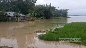 কুড়িগ্রামে তিস্তার পানি বিপদসীমার ৩০ সেন্টিমিটার ওপরে, শঙ্কায় দু’পাড়ের বাসিন্দারা