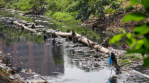 খালেরও রূপ বদলায়