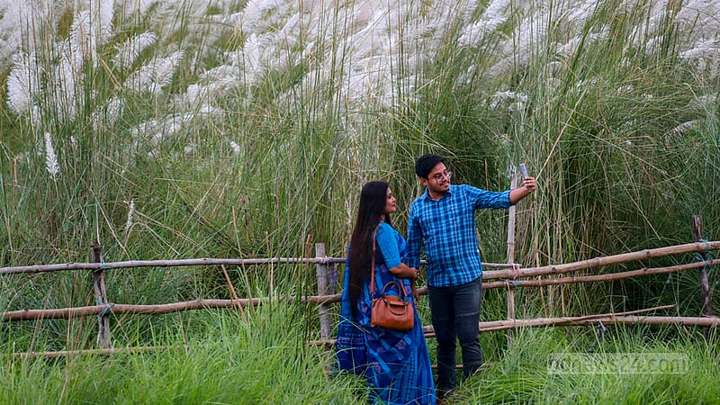 কাশফুলের শুভ্র সমারোহে ছবি তোলার সুযোগ হাতছাড়া করতে চান না​ কেউ।&amp;nbsp;ছবি: তাওহীদুজ্জামান তপু