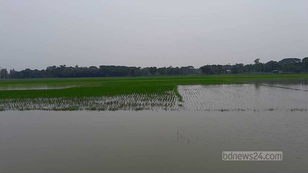 নেত্রকোণায় নদ-নদীর পানি বিপৎসীমা ছুঁই ছুঁই, নিম্নাঞ্চল প্লাবিত