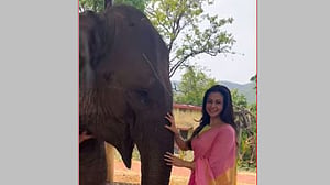 ‘জঙ্গলে মিতিন মাসি’: কোয়েলের সহশিল্পী যখন হাতি