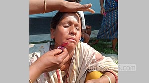নীলফামারীতে শেয়ালের কামড়ে শিশুসহ আহত ৬