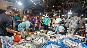 চাঁদপুরেই ইলিশের এত দাম!