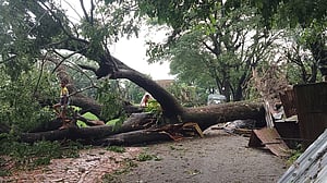 হামুন: চট্টগ্রামে ২ মৃত্যু, বিদ্যুৎ নেই দুই উপজেলায়