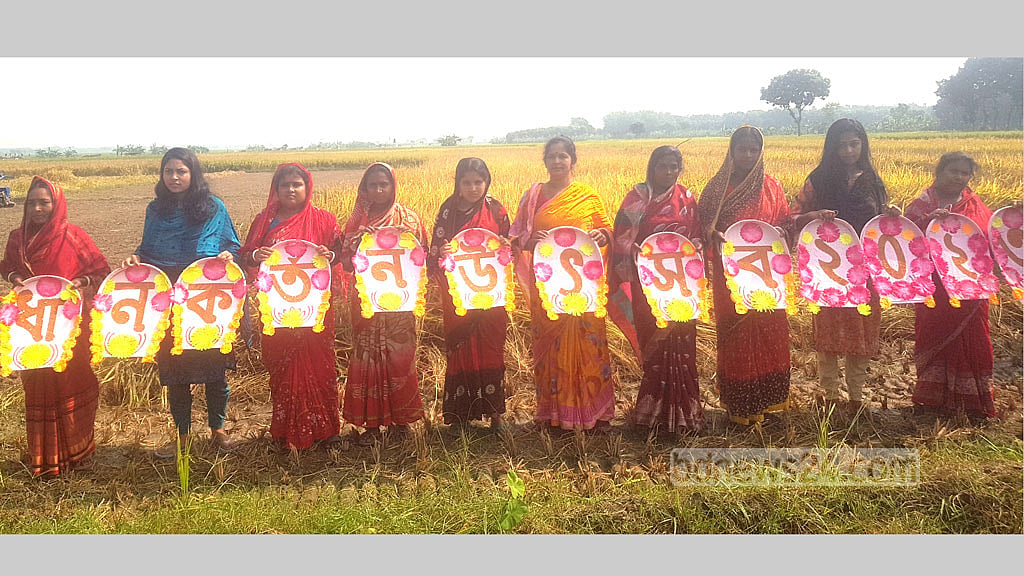 মাগুরায় সমলয় পদ্ধতিতে আমন ধান কাটা শুরু