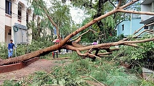 ঘূর্ণিঝড়: কক্সবাজারে ক্ষতিগ্রস্ত পৌনে পাঁচ লাখ মানুষ, প্রায় ৩৮ হাজার বাড়ি