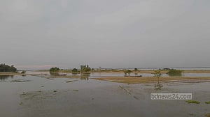 টানা বর্ষণ ও উজানের ঢলে বগুড়ায় ৯৯৯ হেক্টর জমির ফসল ক্ষতিগ্রস্ত