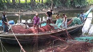 মধ্যরাত থেকে ২২ দিন পদ্মা-মেঘনায় ইলিশসহ সব ধরনের মাছ ধরা নিষিদ্ধ