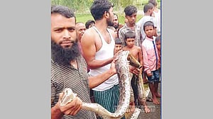 শেরপুরের গারো পাহাড় থেকে বিশাল অজগর উদ্ধার