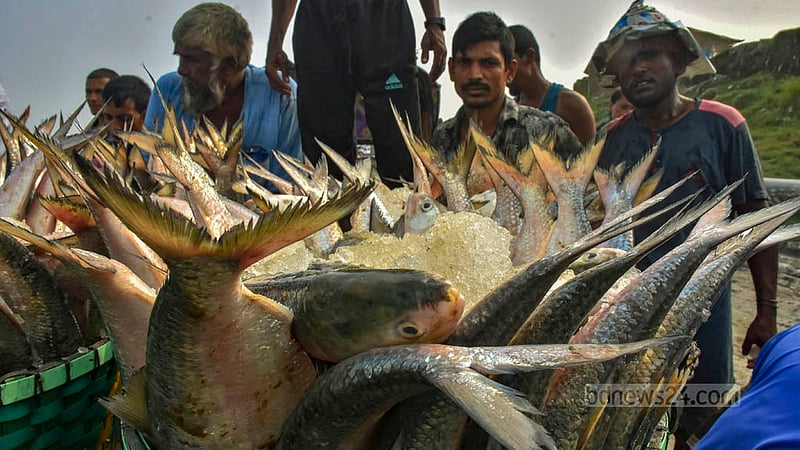 সাগরে মাছ ধরা বন্ধ হওয়ার শেষ মুহূর্তে পাওয়া ইলিশ বাজারে নিচ্ছে যাচ্ছেন জেলেরা। বুধবার চট্টগ্রাম ফিসারিঘাটে দেখা গেছে এই চিত্র।&amp;nbsp;ছবি: সুমন বাবু