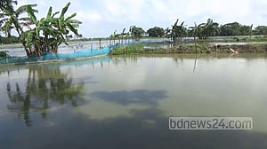 নেত্রকোণায় ভেসে গেছে ৭০৫ পুকুর, পানি কমছে
