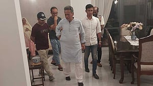 আরও দুই মামলায় আমীর খসরুর জামিন, রইল বাকি ২
