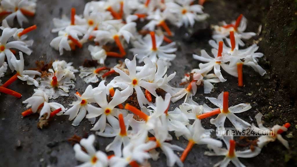 লঘুচাপ আনতে পারে ‘হালকা বৃষ্টি’, আছে ঘূর্ণিঝড়েরও আভাস