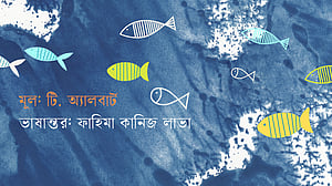 মাছগুলো সব ব্যাঙ হয়ে গেলো