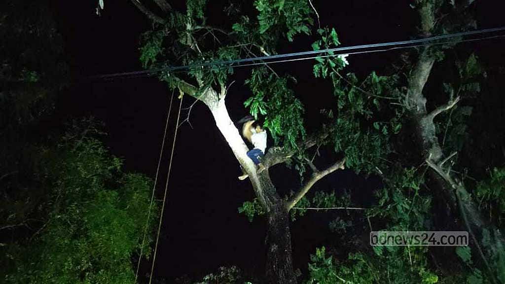 ঘূর্ণিঝড় মিধিলির আঘাতে বিস্তীর্ণ এলাকা অন্ধকারে