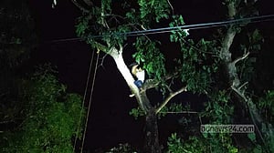 ঘূর্ণিঝড় মিধিলির আঘাতে বিস্তীর্ণ এলাকা অন্ধকারে