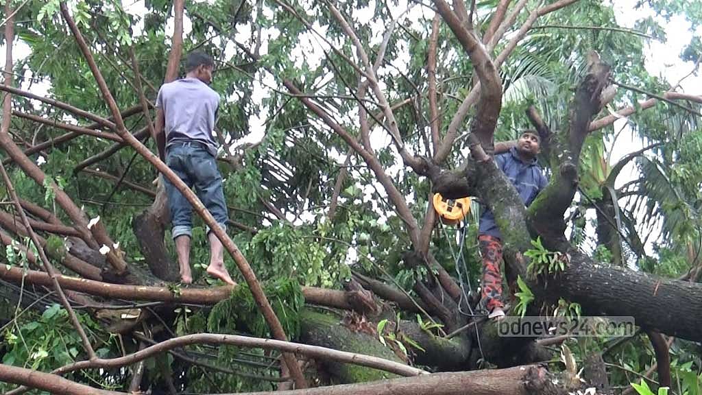 ঘূর্ণিঝড় মিথিলি: ঝালকাঠিতে ৩৩ ঘণ্টা পর ফিরল বিদ্যুৎ, ফসলের ক্ষতি
