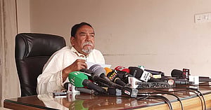 বিএনপির ভুল ‘অনেক’, সংস্কার দরকার: হাফিজ