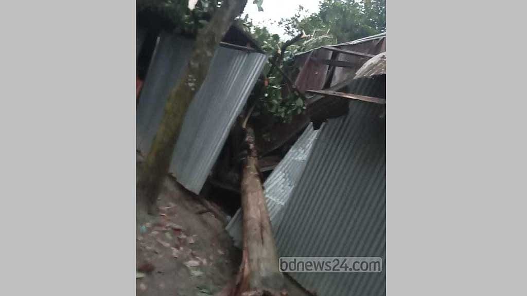 ঘূর্ণিঝড় মিধিলি: কুমিল্লায় ঘরের উপর গাছ পড়ে আরও দুজনের মৃত্যু