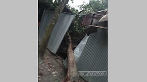 ঘূর্ণিঝড় মিধিলি: কুমিল্লায় ঘরের উপর গাছ পড়ে আরও দুজনের মৃত্যু