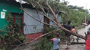 ঘূর্ণিঝড় মিধিলি: নোয়াখালীতে গাছ উপড়ে যানচলাচল বন্ধ, বিদ্যুৎবিচ্ছিন্ন