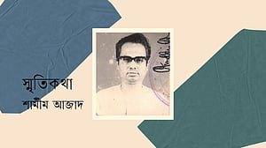আমার শিক্ষক বিদ্যাদেব মুনীর চৌধুরী