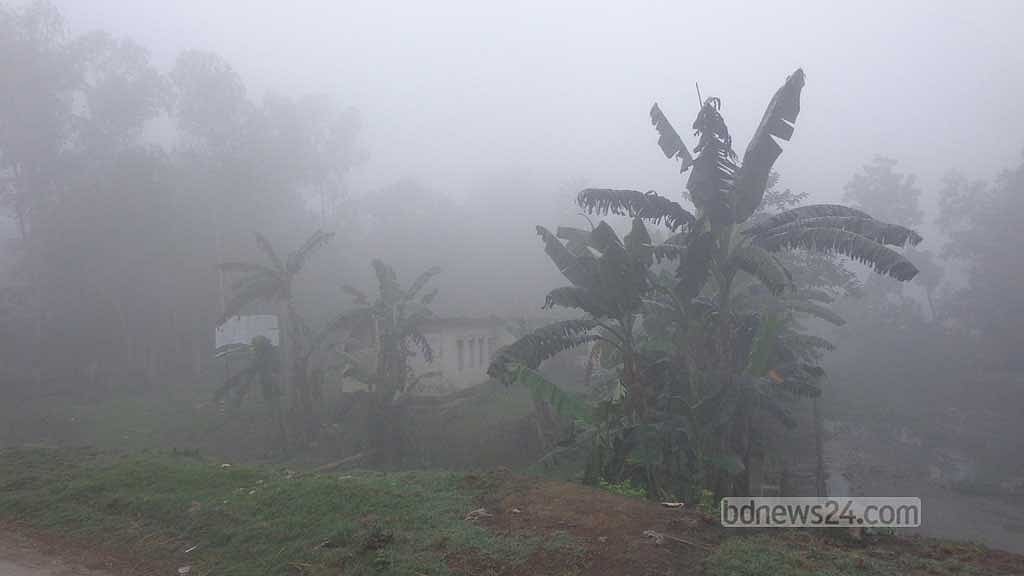 শীত ও কুয়াশার দাপটে বিপর্যস্ত শেরপুরের জনজীবন