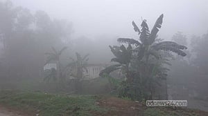 শীত ও কুয়াশার দাপটে বিপর্যস্ত শেরপুরের জনজীবন
