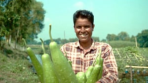 পরিত্যক্ত প্লাস্টিকের বোতল দিয়ে সবজি চাষের ভিন্ন উদ্যোগ মেঘনা গ্রুপের