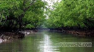 বরগুনায় সুন্দরবন সংলগ্ন বলেশ্বর নদে জেলে গুলিবিদ্ধ