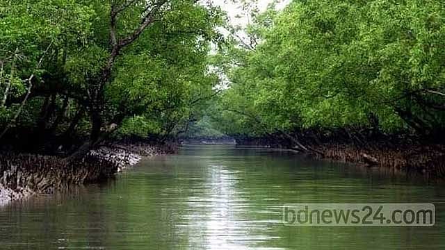 বরগুনায় সুন্দরবন সংলগ্ন বলেশ্বর নদে জেলে গুলিবিদ্ধ