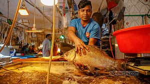 বাড়তি দরেও জ্যান্ত মাছের কদর