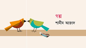 টোনাটুনির মাইক্রোওয়েভ পিঠা