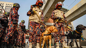ভোটের নিরাপত্তায় বিজিবি