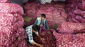 পেঁয়াজ রপ্তানি নিষিদ্ধ করল ভারত