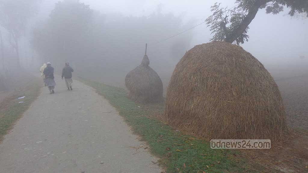 ঘন কুয়াশায় ঢেকেছে শেরপুর, শীতে কাবু মানুষ