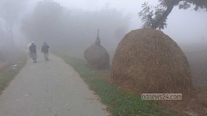ঘন কুয়াশায় ঢেকেছে শেরপুর, শীতে কাবু মানুষ