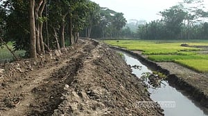 মাদারীপুরে ফসলি জমির মাটি কেটে রাস্তা নির্মাণ