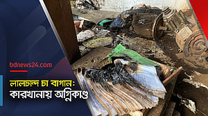 ছাই হয়ে গেছে চা কারখানার অনেক কিছু