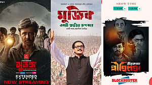 শিল্পকলায় বিনা টিকেটে দেখা যাবে ৩ সিনেমা