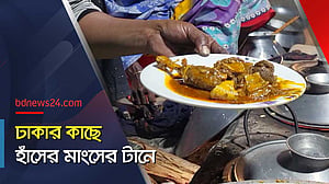 পিঠা ও হাঁসের মাংস: জমজমাট শীতের সন্ধ্যা