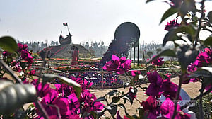 ফুলের উৎসবে