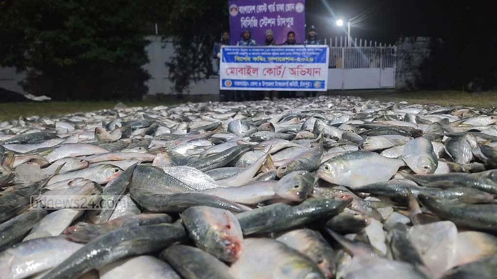 মেঘনায় ট্রলার থেকে ৮৫ মণ জাটকা জব্দ, আটক হননি কেউ